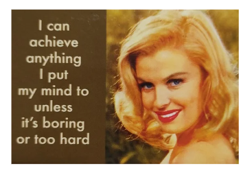 "I can achieve anything..." - Snarky Magnets - Dusty's Country Store