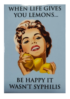 "WHEN LIFE GIVES YOU LEMONS..." - Snarky Magnets - Dusty's Country Store